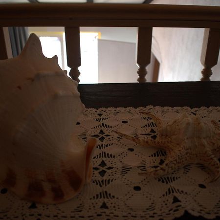 Apartman Marko Tribalj المظهر الخارجي الصورة